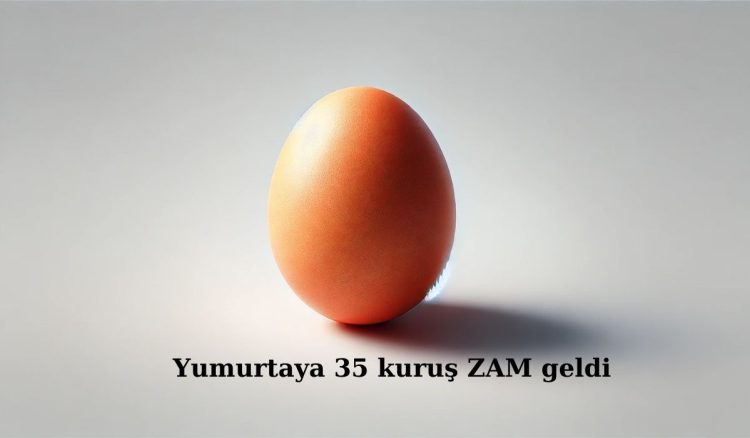 Yumurtaya 35 kuruş ZAM geldi